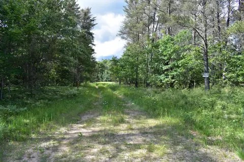 Crapo Lake Road, Johannesburg, MI 49751