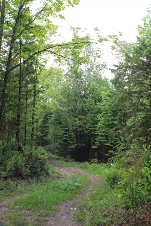00 Mcgahan, Germfask, MI 49836 photo 28