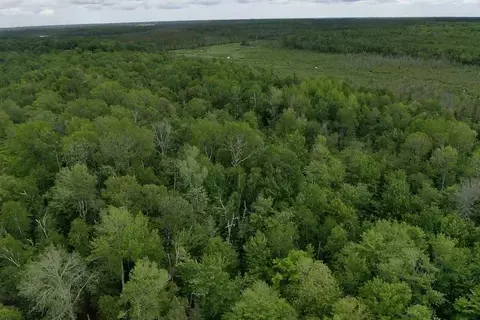 00 Mcgahan, Germfask, MI 49836 photo 38