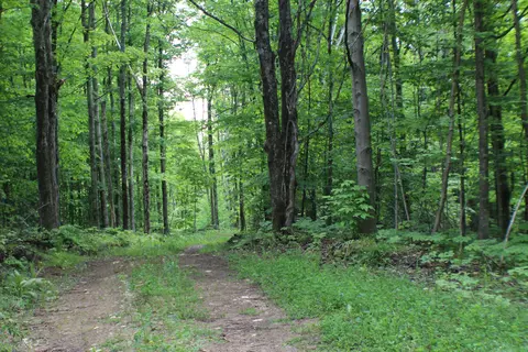 00 Mcgahan, Germfask, MI 49836 photo 5