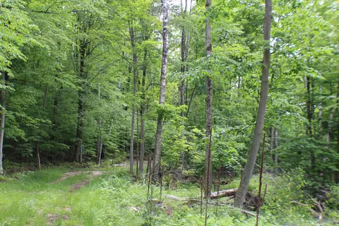 00 Mcgahan, Germfask, MI 49836 photo 22