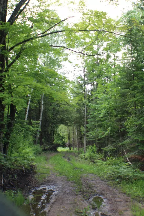 00 Mcgahan, Germfask, MI 49836 photo 25