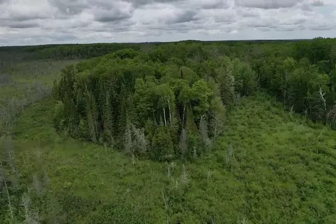 00 Mcgahan, Germfask, MI 49836 photo 34