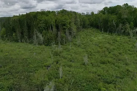 00 Mcgahan, Germfask, MI 49836 photo 33