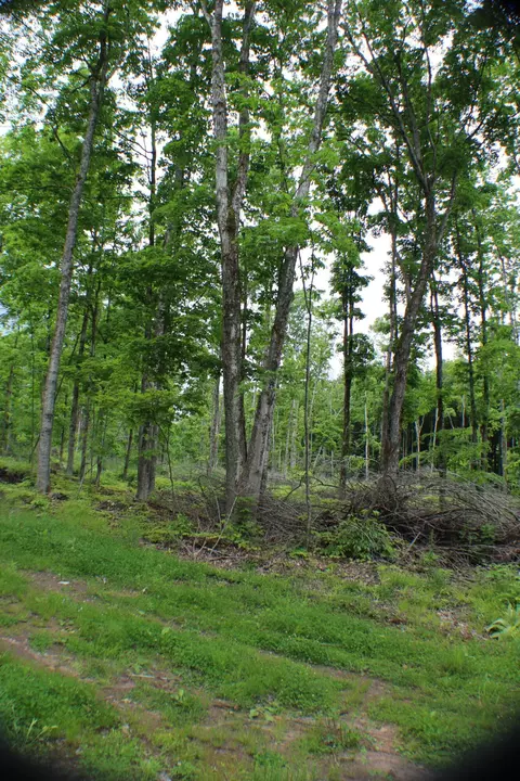 00 Mcgahan, Germfask, MI 49836 photo 18