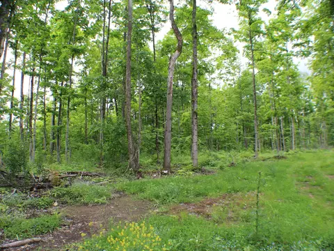 00 Mcgahan, Germfask, MI 49836 photo 7
