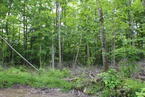00 Mcgahan, Germfask, MI 49836 photo 48