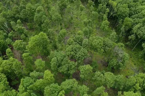 00 Mcgahan, Germfask, MI 49836 photo 37