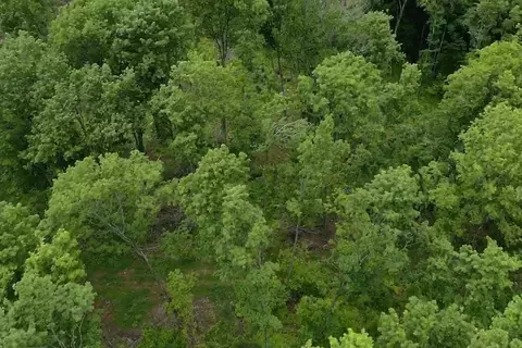 00 Mcgahan, Germfask, MI 49836 photo 26
