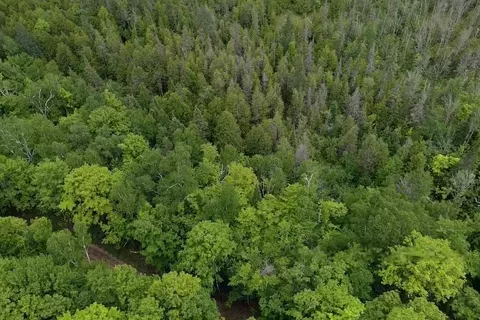 00 Mcgahan, Germfask, MI 49836 photo 39