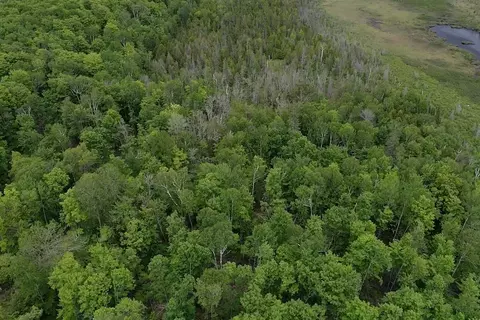 00 Mcgahan, Germfask, MI 49836 photo 35