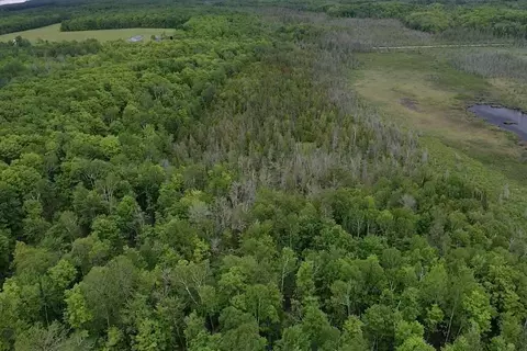 00 Mcgahan, Germfask, MI 49836 photo 41