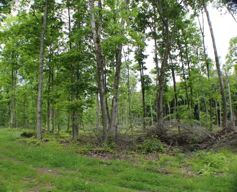 00 Mcgahan, Germfask, MI 49836 photo 50