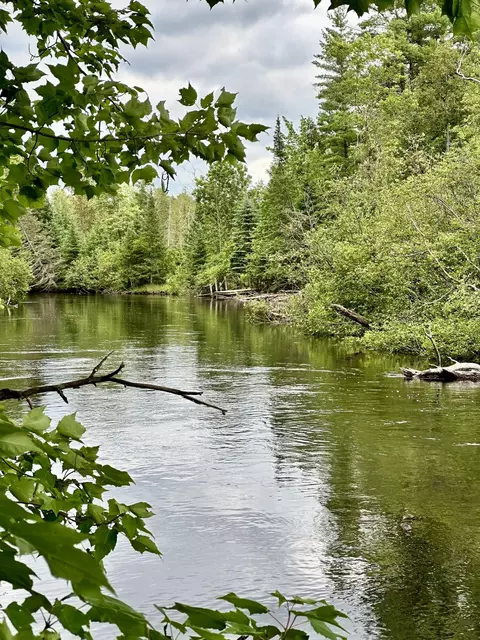 #5 Dewitt Trail #20-064-720-000-005-00, Roscommon, MI 48653
