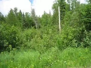 S Pine River Road, St. Ignace, MI 49781 photo 14