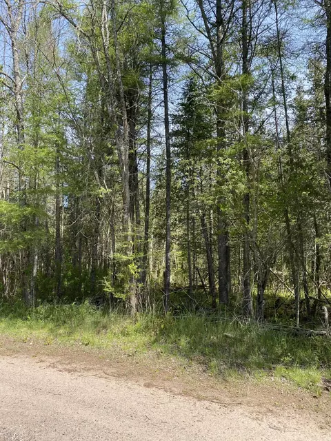 S Pine River Road, St. Ignace, MI 49781 photo 8