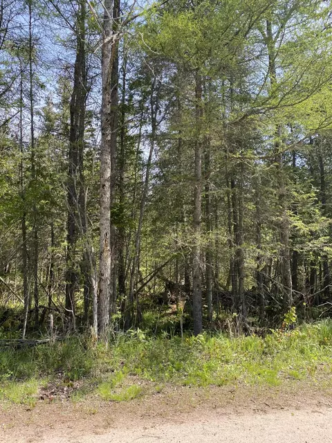 S Pine River Road, St. Ignace, MI 49781 photo 7
