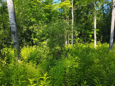 5472 Fishing Site Road Hillman Mi 49746 Rd, Hillman, MI 49746
