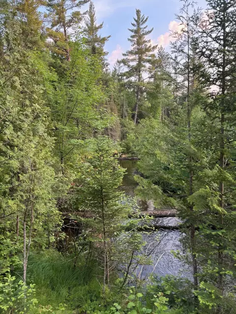 lot266 Timberlane Trail Grayling Mi 49738 Trl, Grayling, MI 49738