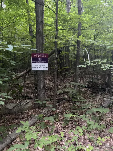 Tower Road, Vanderbilt, MI 49795 photo 6