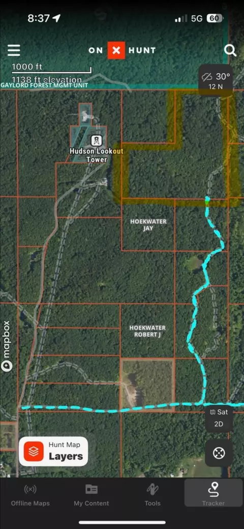 Tower Road, Vanderbilt, MI 49795 photo 7