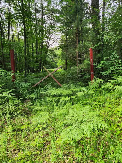 Pere Cheney Road, Grayling, MI 49738