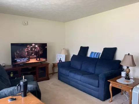 Living - 1224 Elden Drive Alpena Mi 49707 Dr, Alpena, MI 49707 photo 5 of 5
