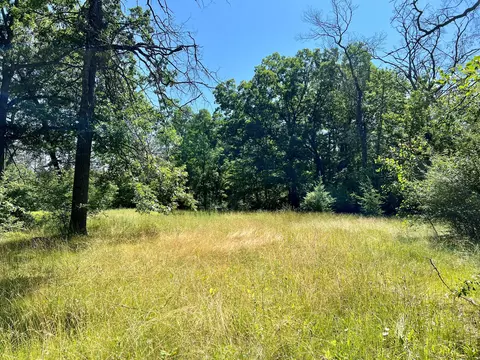 2641 Big Antler Rd, Lewiston, MI 49756