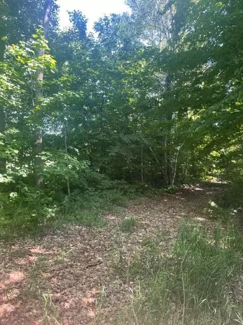 9322 Glen Grove Grayling Mi 49738, Grayling, MI 49738