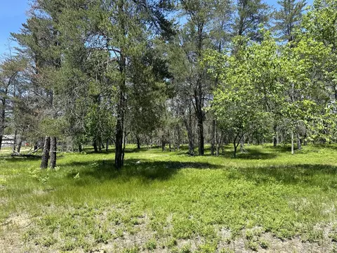 Smoore Road, Frederic, MI 49733