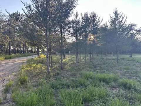 Smoore Road, Frederic, MI 49733 photo 6