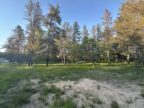 Smoore Road, Frederic, MI 49733 photo 7
