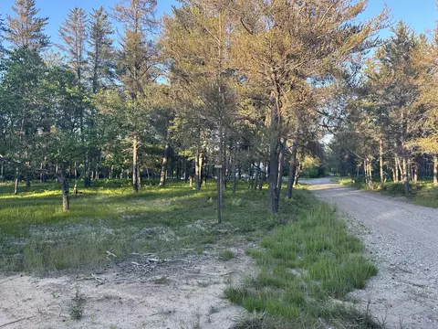 Smoore Road, Frederic, MI 49733 photo 5