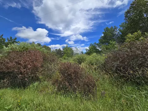 N Everett Road, Roscommon, MI 48653 photo 13