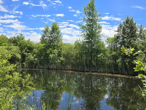 N Everett Road, Roscommon, MI 48653 photo 2