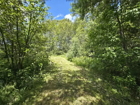 N Everett Road, Roscommon, MI 48653 photo 10
