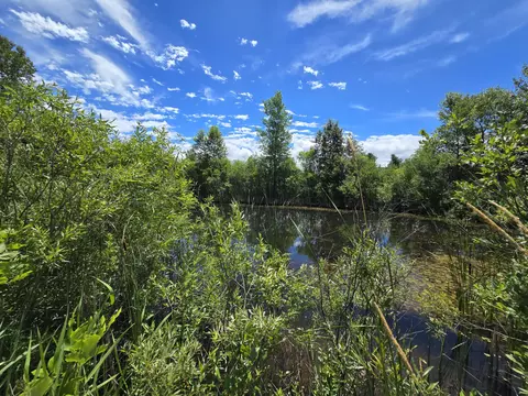 N Everett Road, Roscommon, MI 48653 photo 3