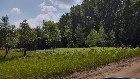 36 N Cut Rd Ivy Rd Roscommon Mi 48653, Roscommon, MI 48653