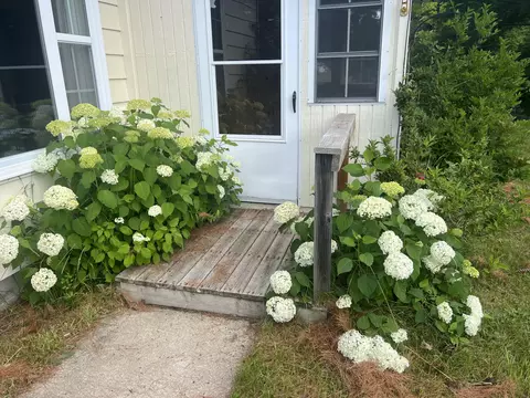 6339 Frederic Street Frederic Mi 49733 St, Frederic, MI 49733 photo 2
