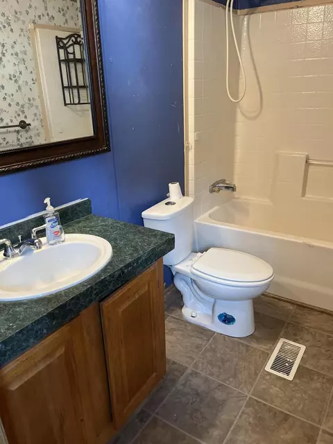 Bath - 102 Mcgregor Rd, Vanderbilt, MI 49795 photo 4 of 5