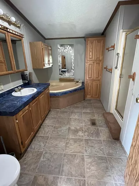 Bath - 102 Mcgregor Rd, Vanderbilt, MI 49795 photo 2 of 5