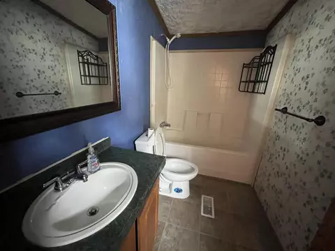 Bath - 102 Mcgregor Rd, Vanderbilt, MI 49795 photo 3 of 5
