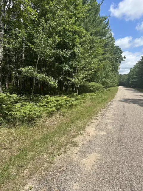 11464 Enchanted Drive Frederic Mi 49733 Dr, Frederic, MI 49733 photo 4