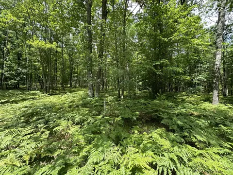 11464 Enchanted Drive Frederic Mi 49733 Dr, Frederic, MI 49733 photo 6