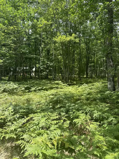 11464 Enchanted Drive Frederic Mi 49733 Dr, Frederic, MI 49733 photo 5