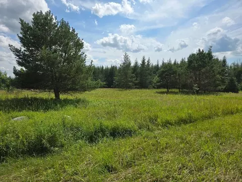 Wilk Highway, Hawks, MI 49743
