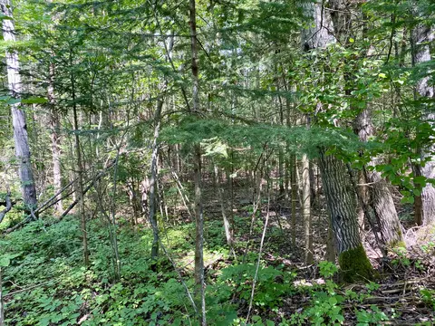 Zolner Road, Cheboygan, MI 49721