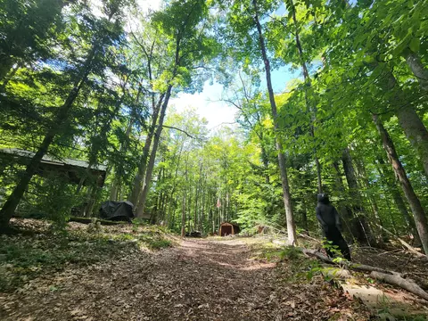 2455 E Kneeland Road Fairview Mi 48621 Rd, Fairview, MI 48621 photo 14