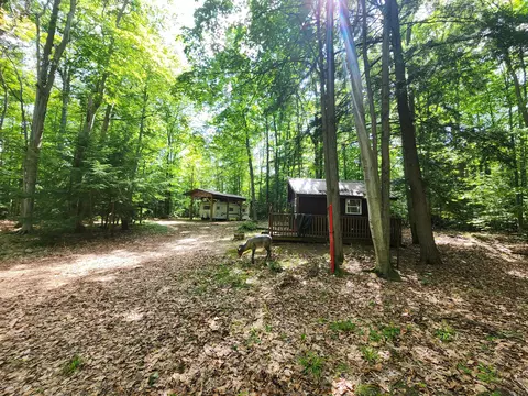 2455 E Kneeland Road Fairview Mi 48621 Rd, Fairview, MI 48621 photo 12