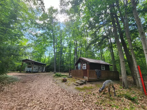 2455 E Kneeland Road Fairview Mi 48621 Rd, Fairview, MI 48621 photo 9